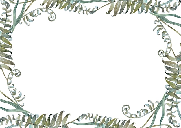 Photo floral frame with fern and herbs isolated on white background hand painted with watercolors