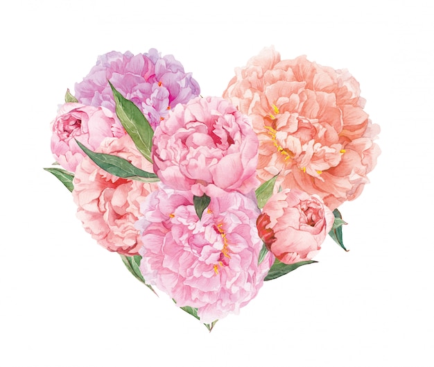 Floral heart with pink peoni flowers. Watercolor for Valentine day, wedding