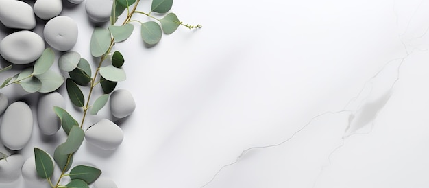 floral natural mockup The paper is blank and there are eucalyptus leaves and stones on a gray