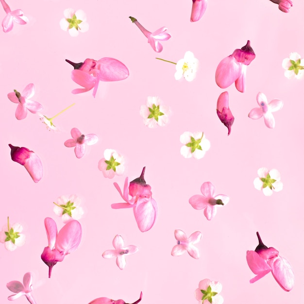 Floral pattern.Many different colors on a pink background.Top view, flat lay