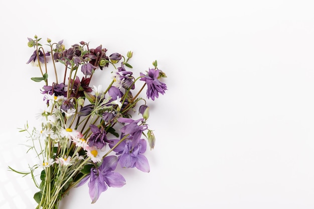 Floral pattern with colorful daisy wildflowers green leaves herbs on white background flat lay top view