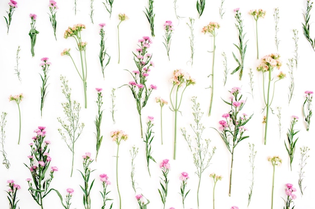 Floral pattern with pink and beige wildflowers, green leaves, branches on white