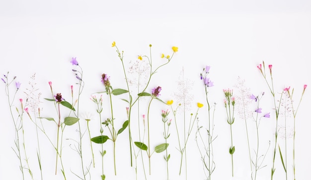 Floral pattern with wildflowers green leaves branches on white background Flat lay top view