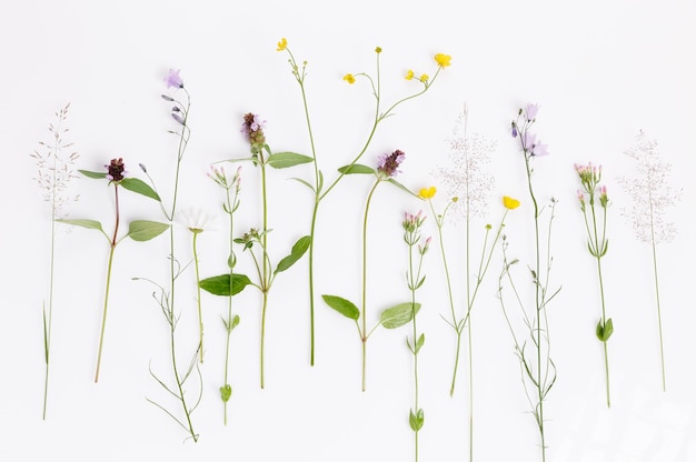 Floral pattern with wildflowers green leaves branches on white background flat lay top view