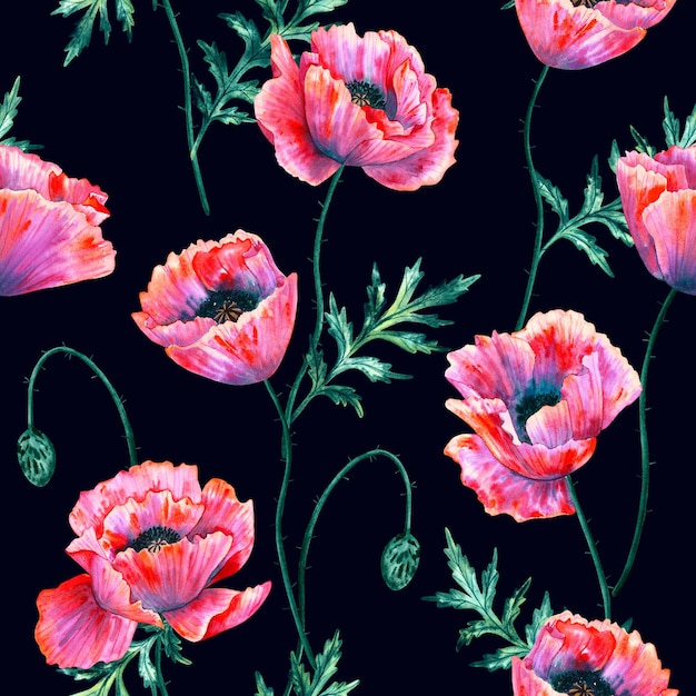 Floral seamless background Pattern with beautiful watercolor poppy flowers Botanical hand drawn illustration Texture for print fabric textile wallpaper