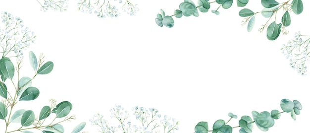 Floral watercolor banner green eucalyptus and white gypsophila branches isolated on white background