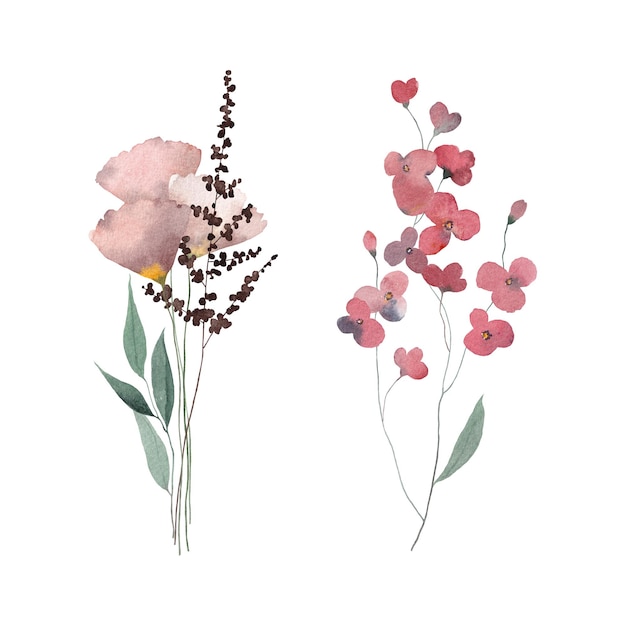 Floral watercolor illustration isolated on white background Watercolor set of design elements with wildflowers and plants