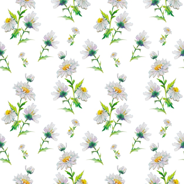 floral watercolor seamless pattern with beautiful chamomiles, hand drawn background