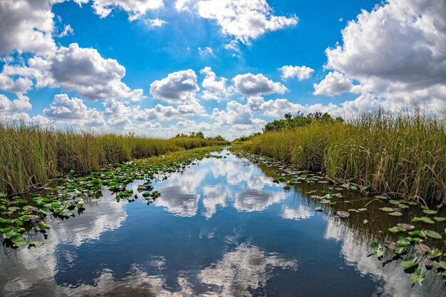 Photo florida everglades view panorama landscape