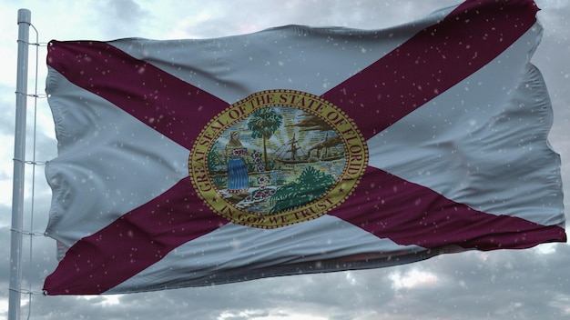 Florida winter flag with snowflakes background United States of America 3d rendering