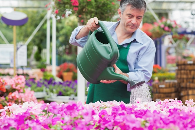 Florist watering plants