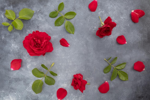 Flower arrangement of fresh red rose flowers on a gray background with space for text Postcard