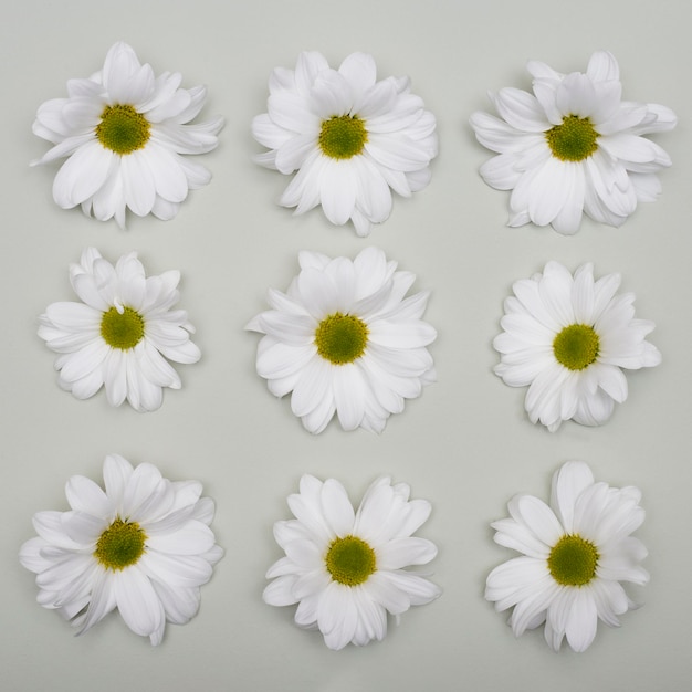 Flower arrangement  white flowers on a textured background