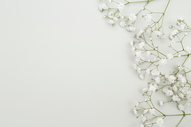 Flower arrangement  white gypsophila flowers on a textured background