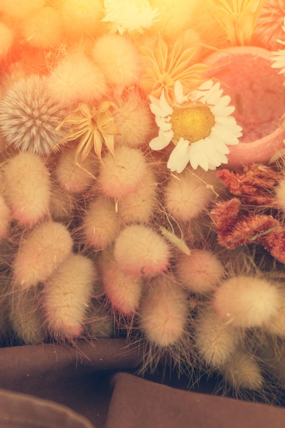 Flower arrangement with chamomile in the sunlight