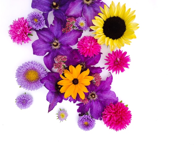 Flower background of sunflowers and asters