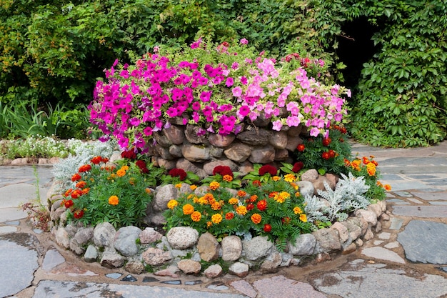 Flower bed with petunia and marigold Landscape design