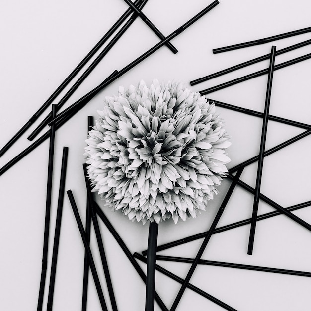 Photo flower black and white minimal art