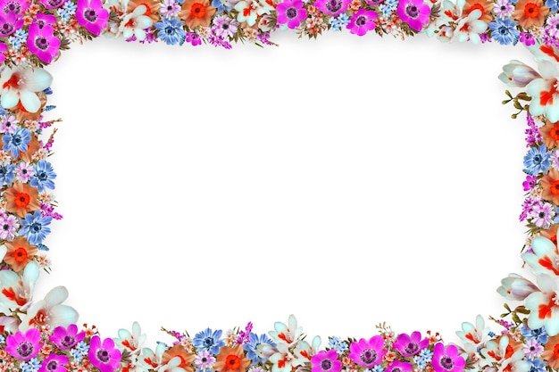 Flower border Frame Background Flower Background Floral Frame Background