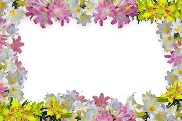 Flower border Frame Background Flower Background Floral Frame Background