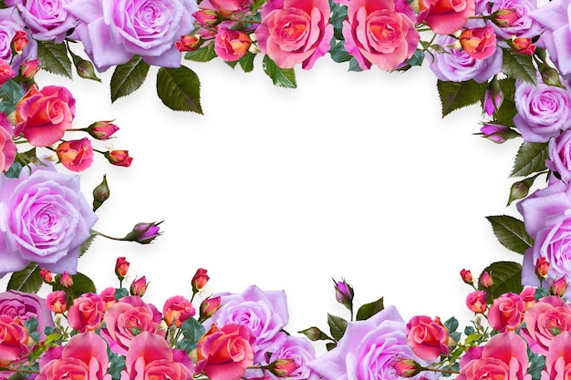 Flower border Frame Background Flower Background Floral Frame Background