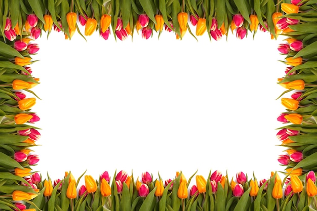 Flower border Frame Background Flower Background Floral Frame Background