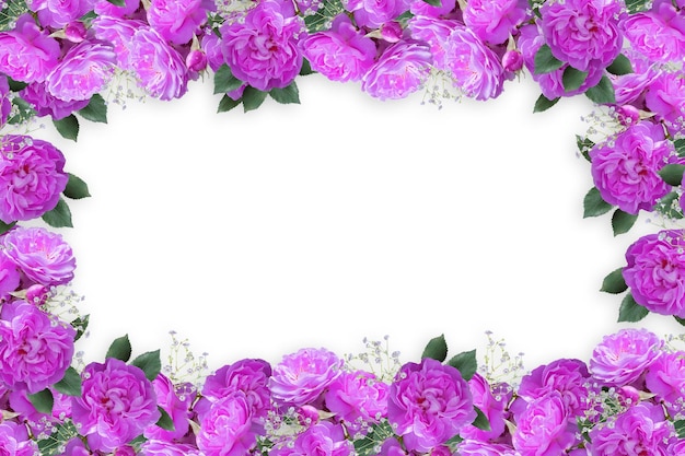 Flower border Frame Background Flower Background Floral Frame Background