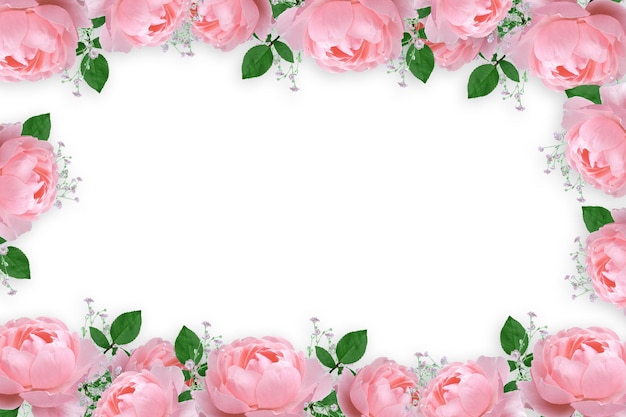 Flower border Frame Background Flower Background Floral Frame Background