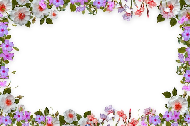 Flower border Frame Background Flower Background Floral Frame Background