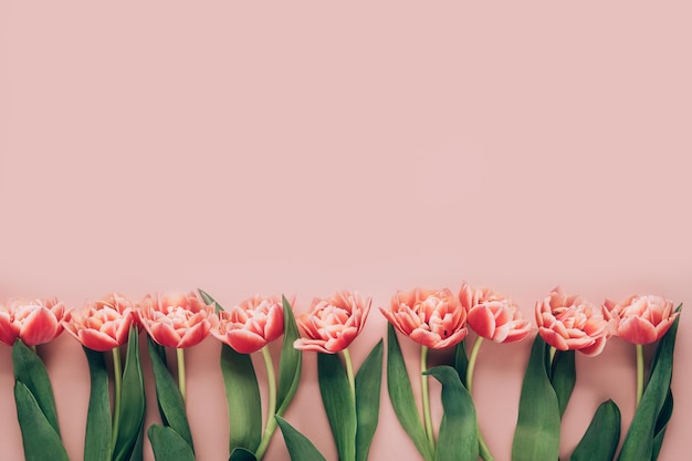 Flower Bouquet from Parrot Tulips