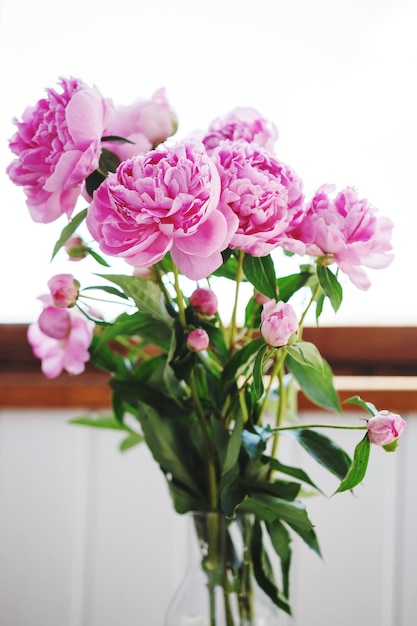 Flower bouquet of pink and white fresh peony flowers in a vase in sunshine under the window