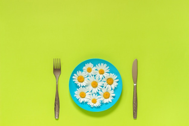 Flower chamomile on blue plate, cutlery fork knife on green background 