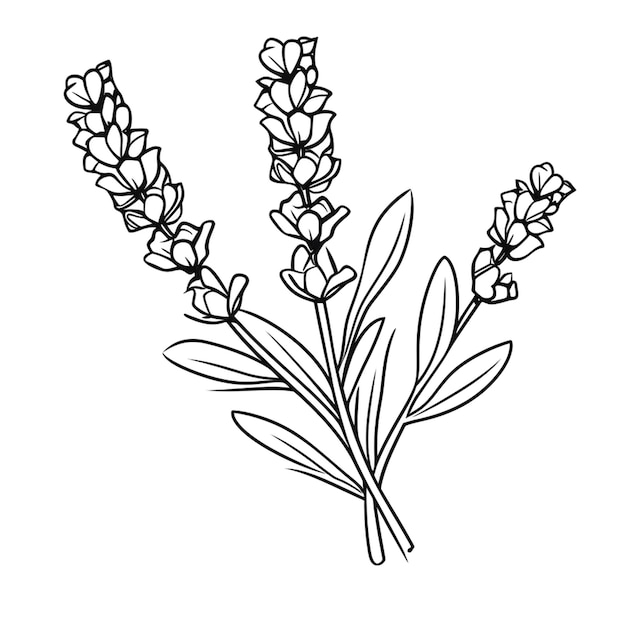 Flower coloring page