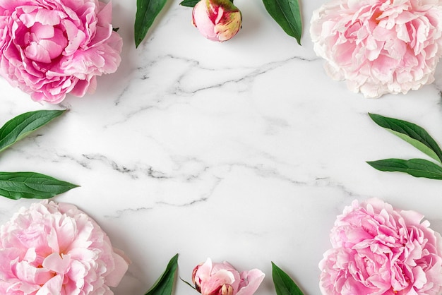 Flower composition Frame made of pink peony flowers on white marble background Flat lay Top view