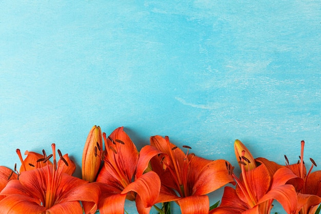 Flower composition Summer orange lily flowers on pastel blue background Flat lay Top view Wedding or anniversary card