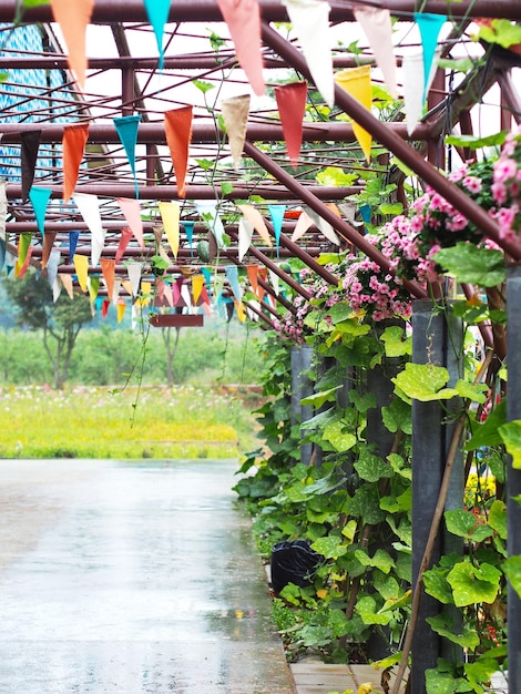 Flower and creeper gourd plant in the garden Row of pink periwinkle flowerpot hanging on metal roof frame and climber vegetable for garden decoration in rainy season