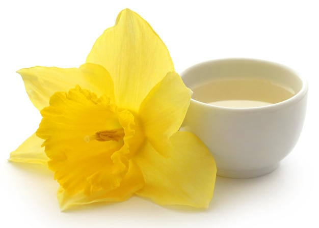 Flower daffodil with extract in a bowl over white background