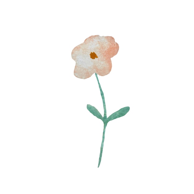 Flower dusty pink cartoon sketch. A watercolor illustration. Hand drawn texture. Isolated white back