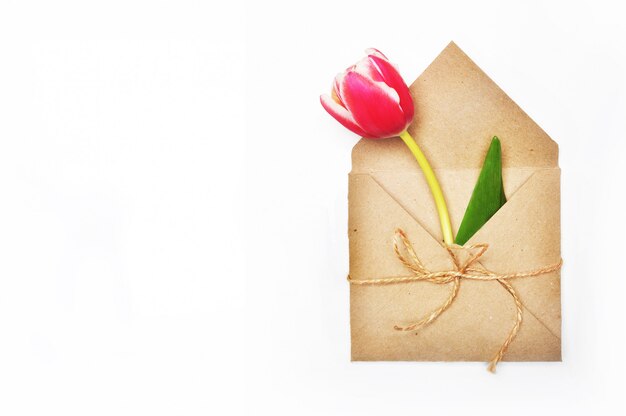 Flower in envelope on white 