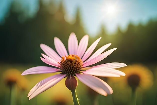 A flower in a field of flowers