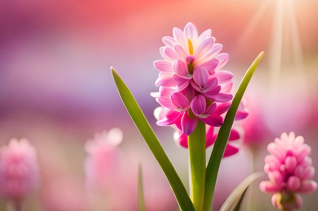 A flower in a field of flowers