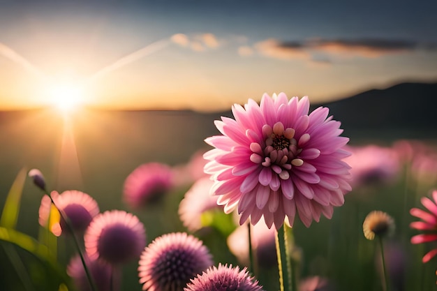 A flower in a field with the sun setting behind it