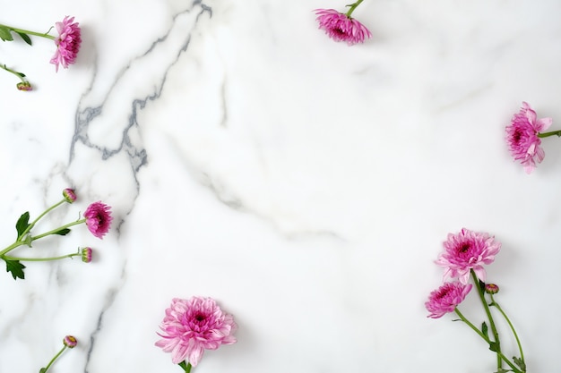 Flower frame concept. Pink daisy flowers head scattered on marble background.