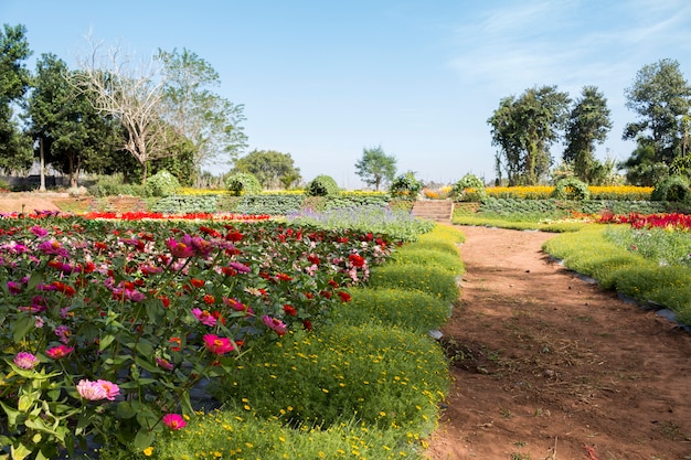 flower garden