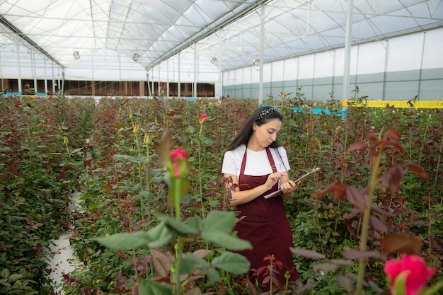 Flower greenhouse worker inspecting flowers