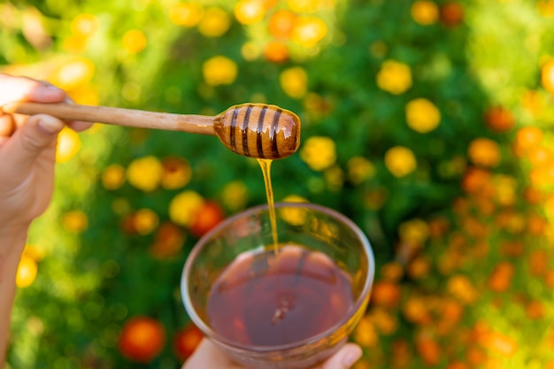 Flower honey in the hands of a child. Selective focus.