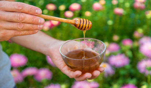 Flower honey in the hands of a man. Selective focus. Nature.