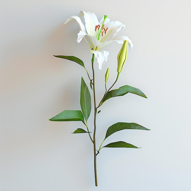 a flower is hanging on a wall with the word lily on it