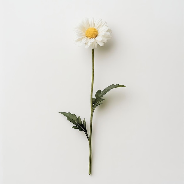 a flower is standing on a white surface with a yellow center