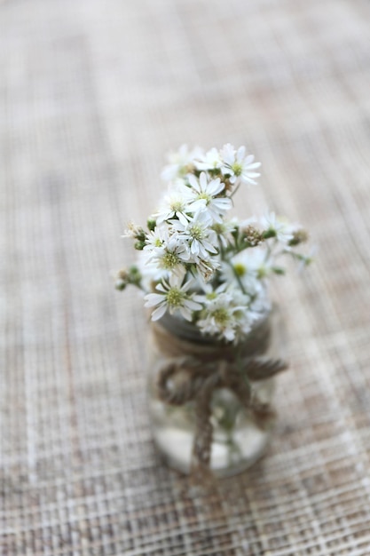 Flower in jar